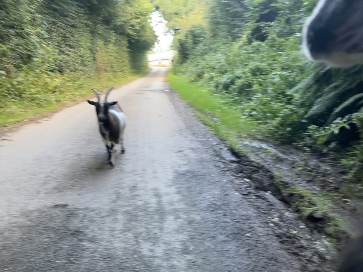 newlandfarm's tweet photo. 3 up left one behind #CoDrivers #ViewFromTheQuad https://t.co/JyCKSArE8n