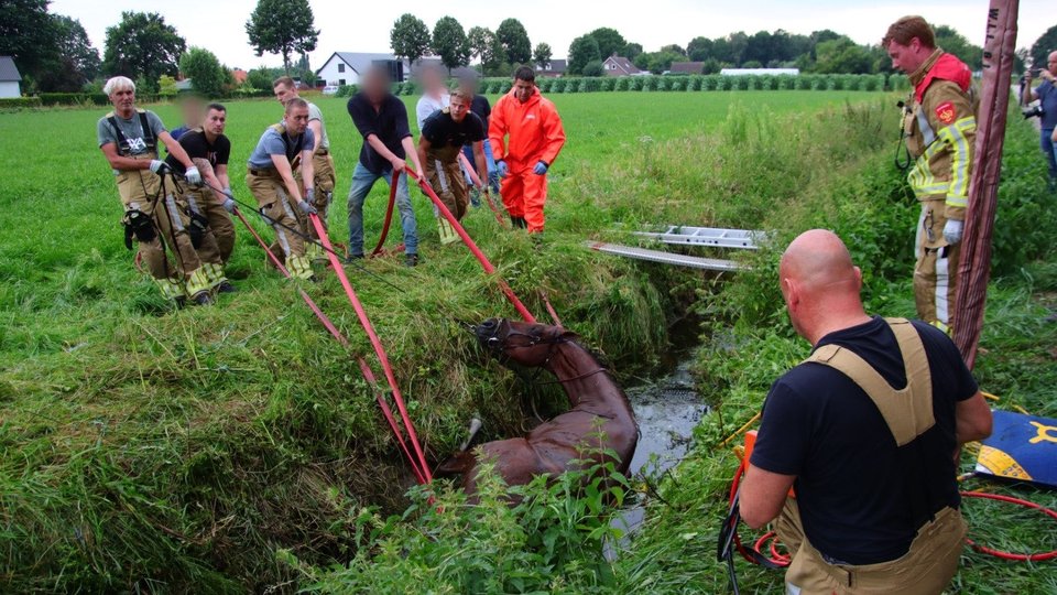 Brandweer redt paard uit sloot