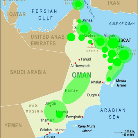 GOLDTeamOman's tweet photo. Yesterday was our final virtual training with the Oman Guides and Advanced Guides during their virtual Guide camp. It has been a pleasure to work with you all.  

#GOLDOman2021 #GOLD2021 #GlobalGuiding #WAGGGS #girlguidinguk #international #adventure https://t.co/3O9ycBVXXs