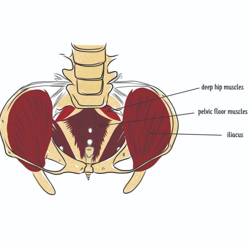 There are 3️⃣ simple steps to realign your pelvis -- releasing tension in your hips and untwisting your core!

Watch our co-founder, <a href="/ChristineKoth/">Christine Koth</a> demonstrate these steps on our YouTube here 👉  buff.ly/2VN28SK

#AlethaHealth #HipHook #HealthAndWellness #WellnessTips