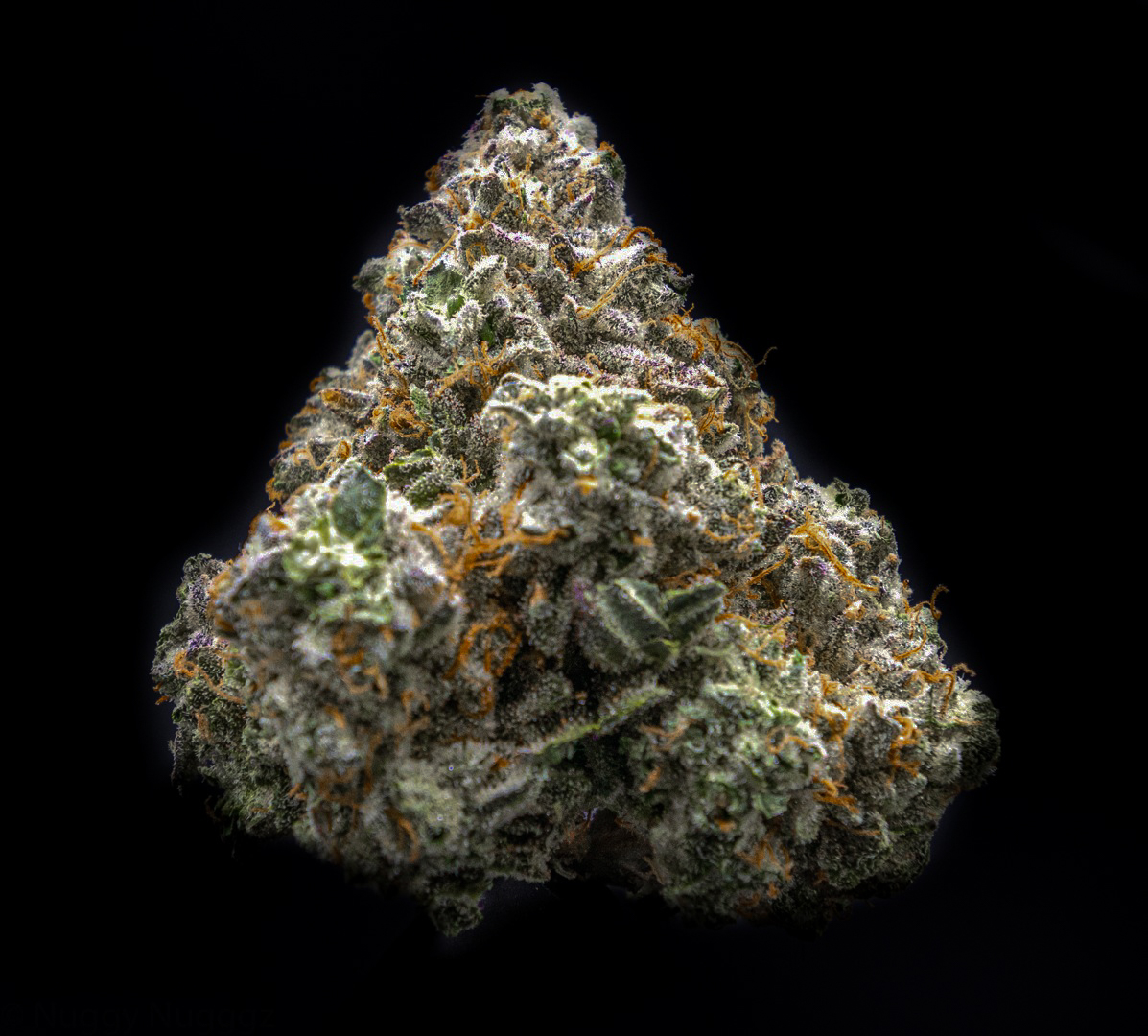 ArCannaMichigan's tweet photo. This Rainbow Belts by Pure Flower Company is a cross between Moonbow and Zkittles. With its sweet and fruity aroma, it is quickly becoming one of the favorite strains here at Arcanna. 🌈

 *NOTHING FOR SALE, FOR EDUCATIONAL PURPOSES ONLY* https://t.co/I1jfBYa3fF
