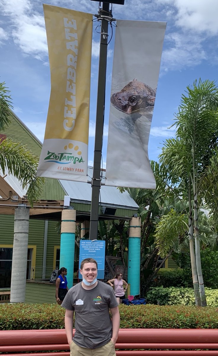Otterbein's tweet photo. .@ZooTampa intern Preston Smith '22 was feeding tigers, assisting bloodwork for elephants, and hung-out with koalas over the summer!

#Otterbein #OtterbeinSTEM #ZooTampa #zoo #internship

https://t.co/l0nRF0GkVl https://t.co/nSAL7mAGW0