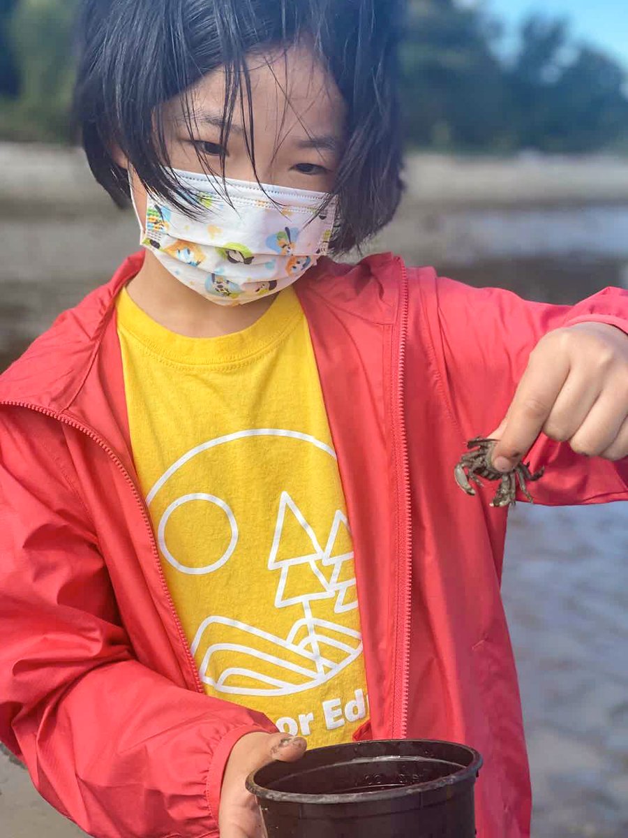 iGen inspires children to have a passion for science through identifying living and non-living things at the beach.
Students will begin to understand that all living things grow, breathe, reproduce, excrete, respond to stimuli

#iGen  #steameducation #summercamp #outdoorlearning