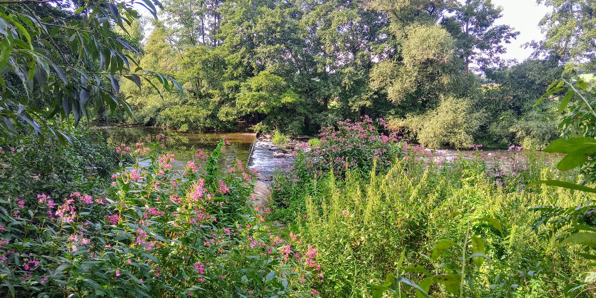 Urlaub in Hessen - einfach nur schön. Das Obere Lahntal bei Lahntal-Kernbach. Allen ein sonniges Sommerwochenende.