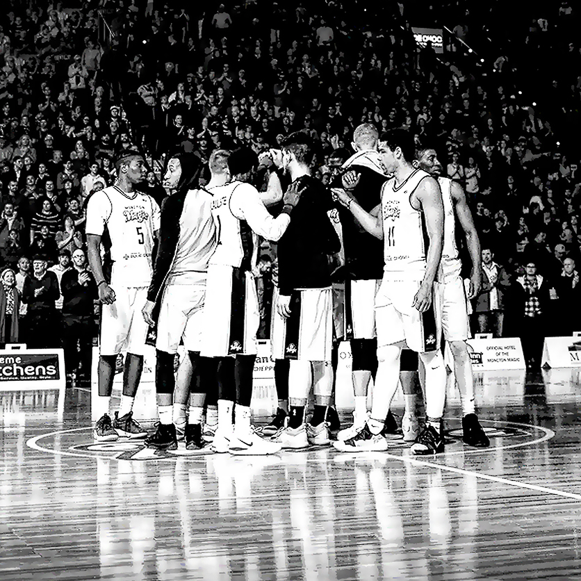 The Moncton Magic tweet media