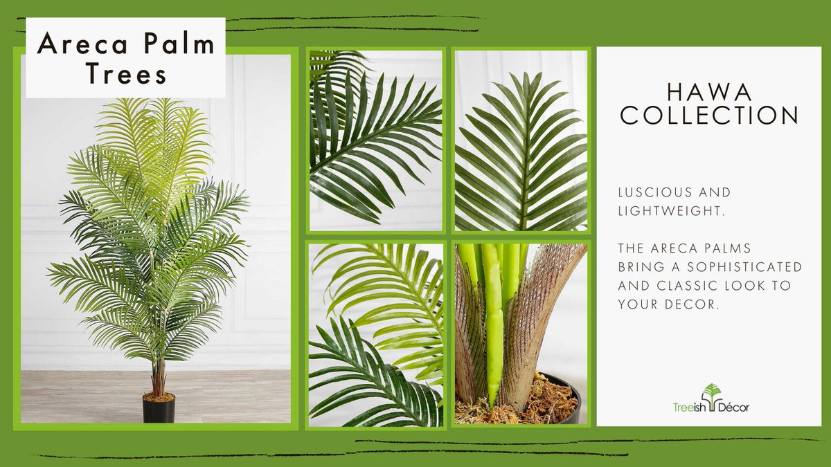 TreeishD's tweet image. A classic palm tree that has been used by many interior designers to bring greenery into different spaces. 

The areca palm tree never disappoints. 

#TreeishDecor #fauxplants #artificialplants #alwaysgreen #arecapalms #homedecor #plants #ecommerce #canadianbusiness #yycbusiness