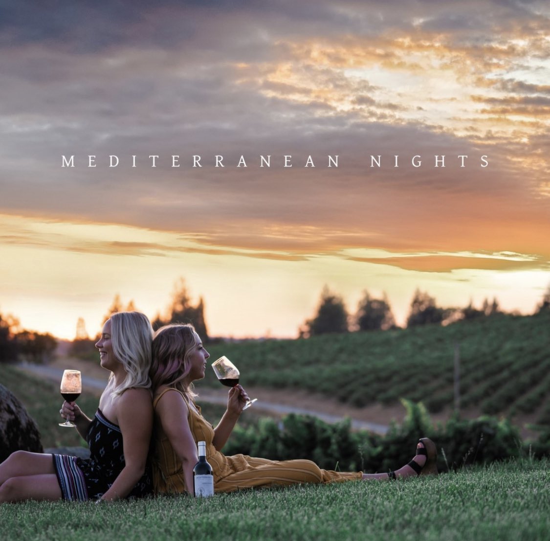 Need something to do this weekend?! #medinights @mediteraneanvineyards‼️

You can enjoy live music while sipping wine watching the sunset. Sounds like a little slice of Heaven to us. 

We’re excited Mediterranean Vineyards will join us this year.

🎟 @ eldoradohillsbrewfest.com