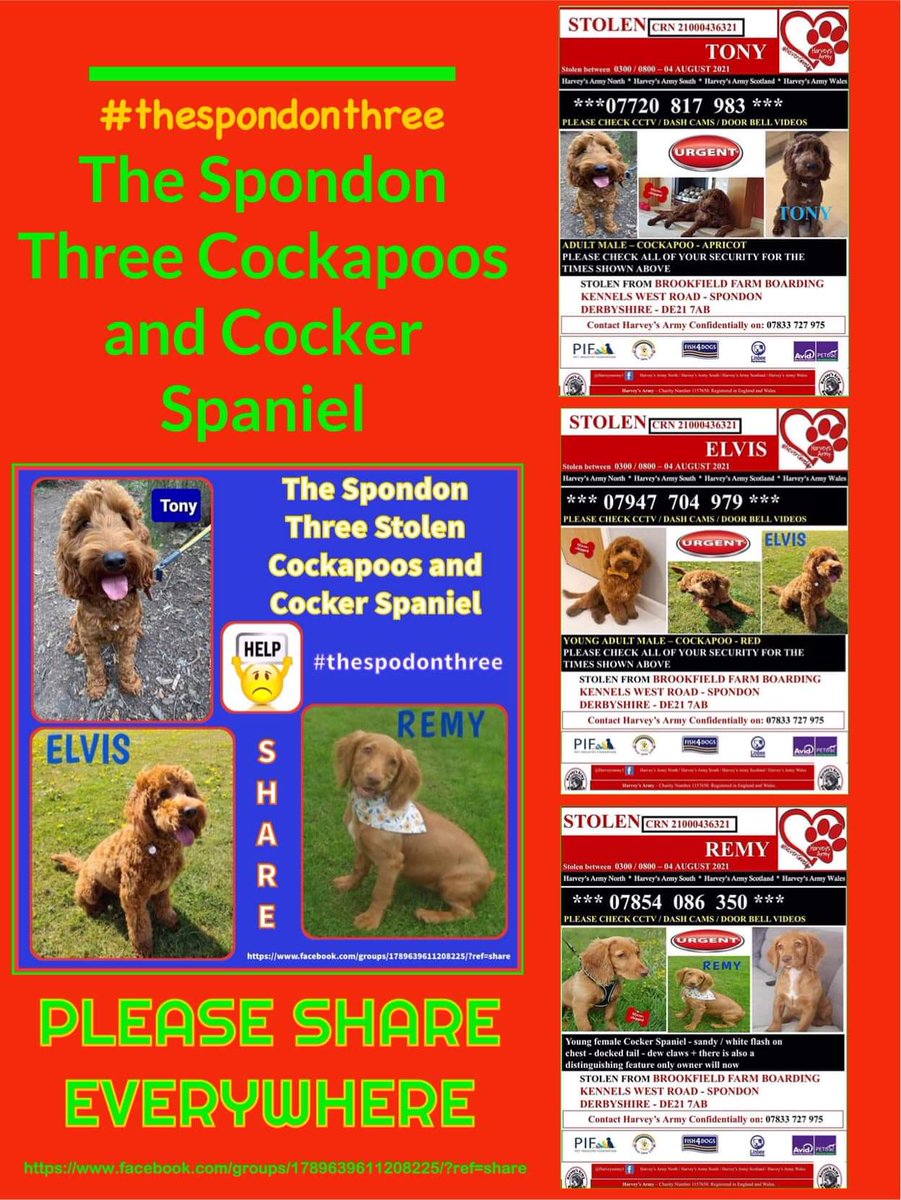#spondon3 #stolendogs #Remy #Elvis #Tony SPREAD IT AROUND LIKE CRAZY! Get these dogs home NOW!!
