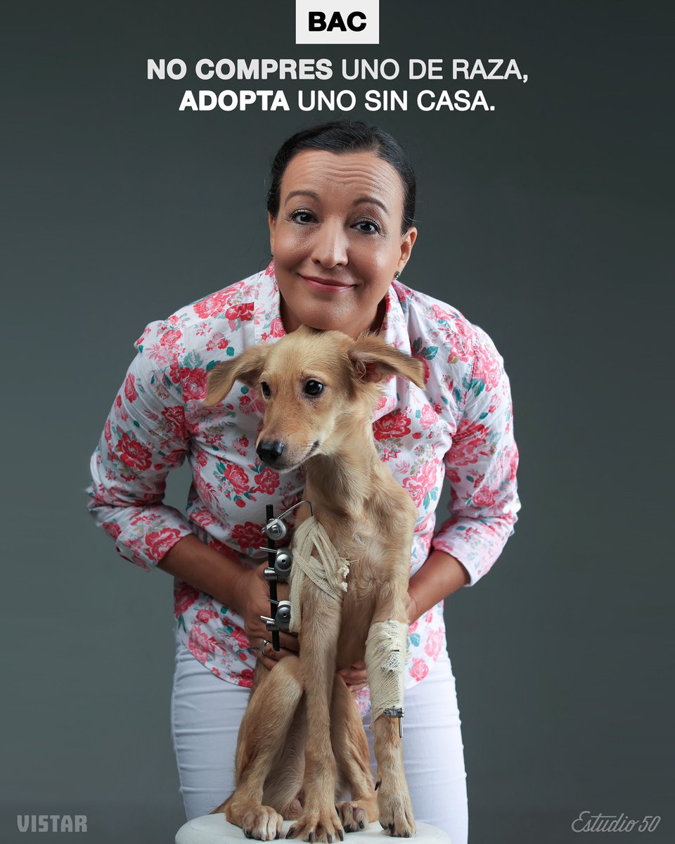 LiztDanceCuba's tweet photo. Felices de participar en esta hermosa iniciativa de @bac_cuba junto a Estudio 50 y @VistarMagazine . 
Si desea adoptar a esta guerrera llamada Alicia puede escribir al número 53129641 🥰.
#LiztAlfonsoDanceCuba #LiztAlfonso #BacCuba #NoCompresAdopta 
#VistarMagazine #Estudio50 https://t.co/c9YCVdzVee