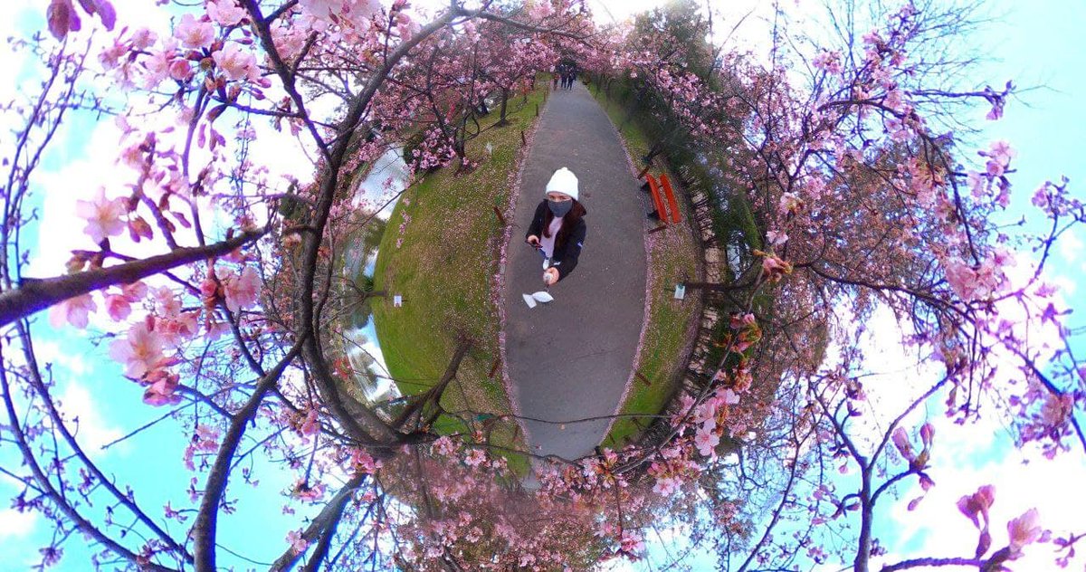 My first contribution to <a href="/ErmesTuon/">Ermes Tuon</a>'s #AccessibleLife project is live!🌸

I chose the Japanese Garden of Buenos Aires (<a href="/jardinjapones/">Jardín Japonés 日本庭園</a>) for this first one, I have always loved how accessible it is.

I wrote a post on #LocalGuidesConnect about it:
localguidesconnect.com/t5/General-Dis…