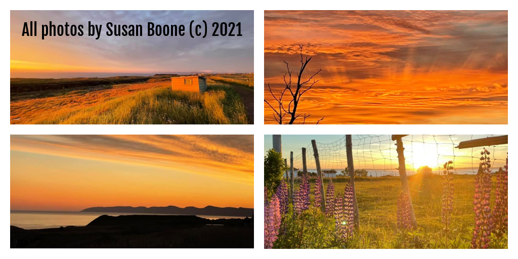 Middle of August and rumour has it we may finally see the Flanders back on the run next week.  But will it be enough for tourism businesses to make up what they've lost this year? #fixtheferries <a href="/ElvisLoveless/">Elvis Loveless</a> <a href="/davidbrazil10/">David Brazil</a> <a href="/FureyAndrew/">Andrew Furey</a> <a href="/GovNL/">Government of Newfoundland & Labrador</a> <a href="/CBCNL/">CBC Newfoundland and Labrador</a> <a href="/VOCMNEWS/">VOCM News</a>