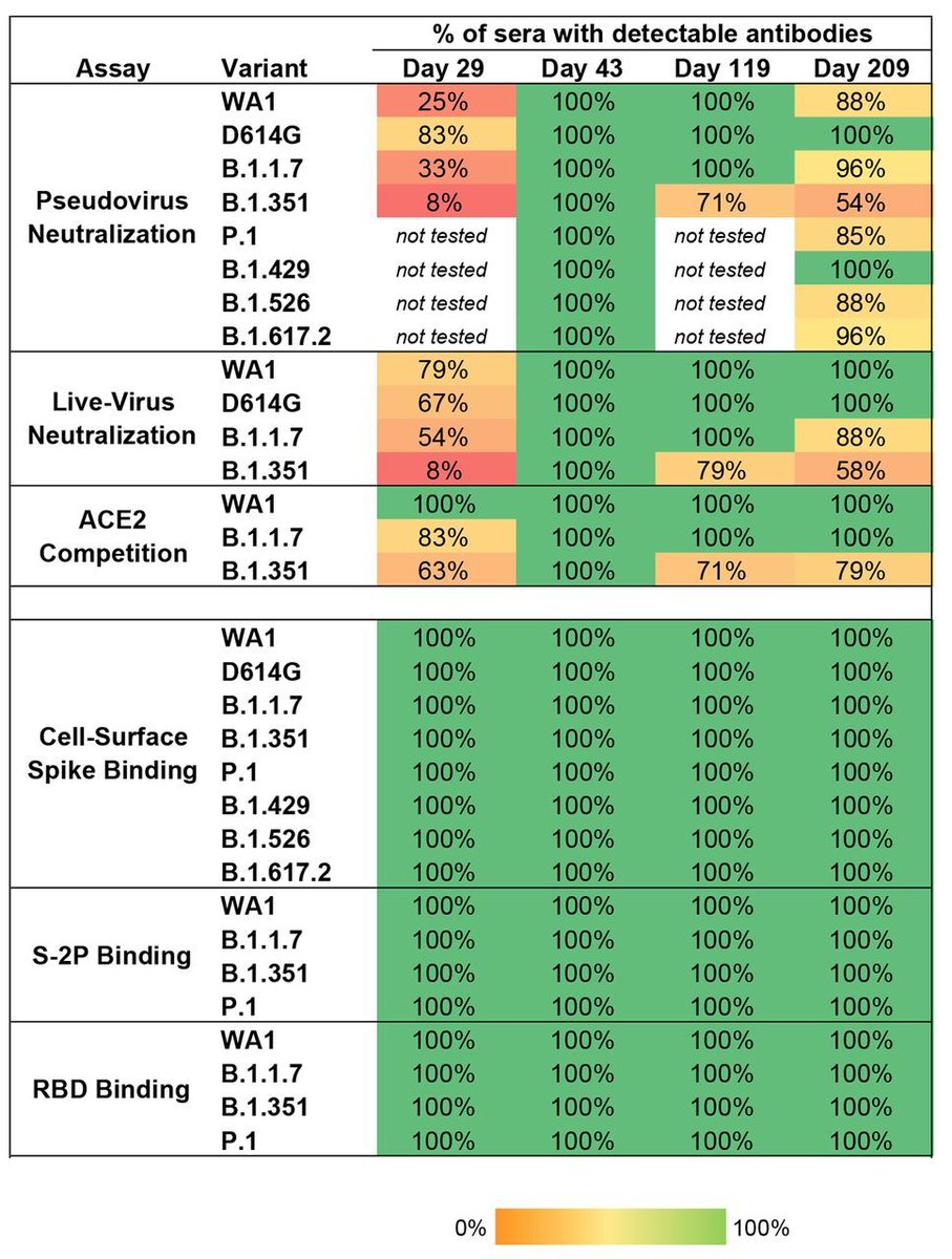 The majority of individuals who received both doses of the mRNA-1273 (Moderna) vaccine maintained binding and functional antibodies against #SARSCoV2 variants for six months, a new Science study shows. fcld.ly/0kh2tc1