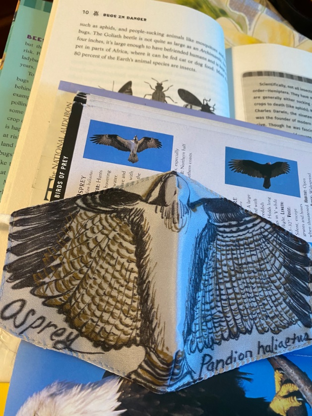 cproppe's tweet photo. Latest art project you can do with kids…
Create a series of Bird facemasks using inexpensive plan masks like they have at @StaplesStores
Take out bird books at local library. Use @Sharpie markers to decorate masks.
#MaskUp #DeltaVariant #maskupagain #BirdTwitter #osprey https://t.co/0nijXPJyWw