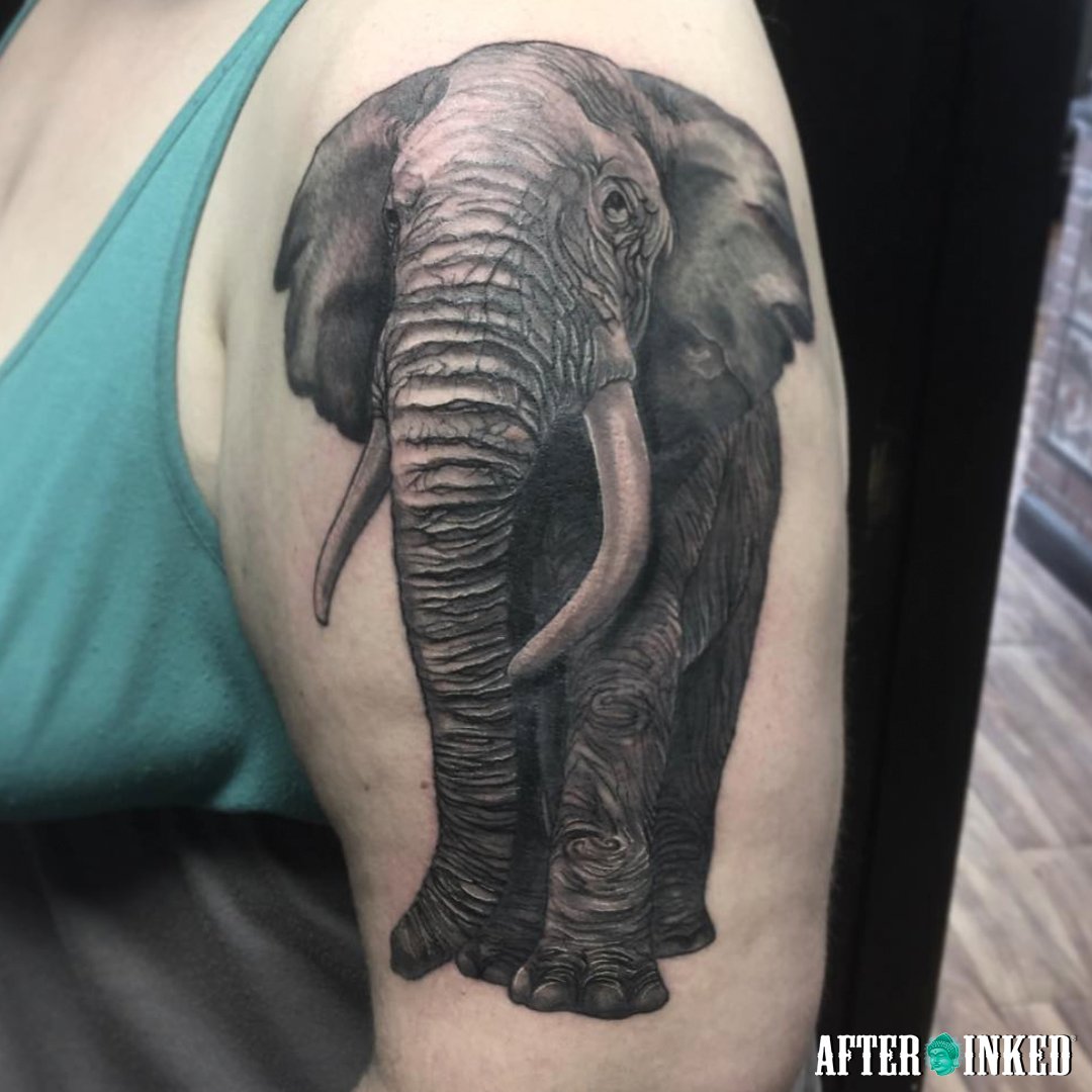 After Inked® on Twitter: After Inked® on Twitter:
