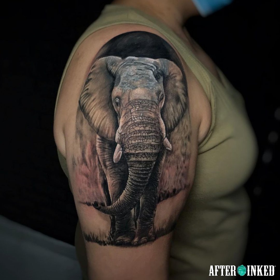 After Inked® on Twitter: After Inked® on Twitter: