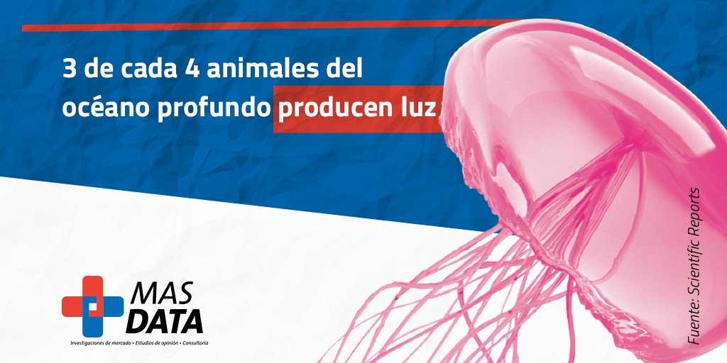 MasData2's tweet photo. #DatoMasDatero |  Tres cuartas partes de los animales en las aguas marinas entre la superficie y los 4.000 metros de profundidad pueden producir su propia luz. https://t.co/kkqJQi8BgA