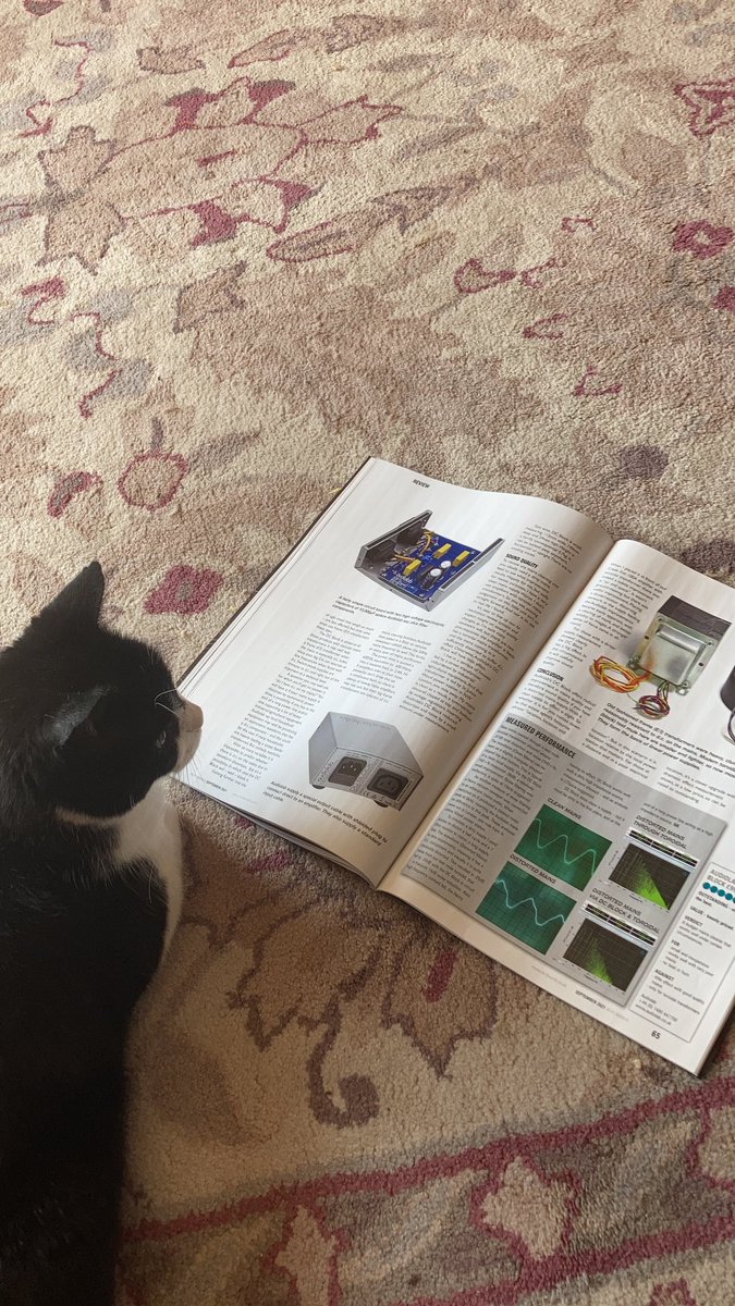 D.V. Catt tweet media