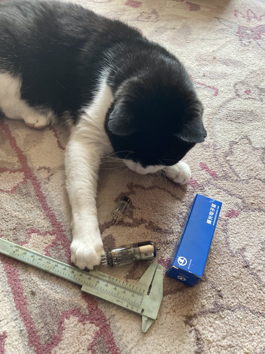 D.V. Catt tweet media