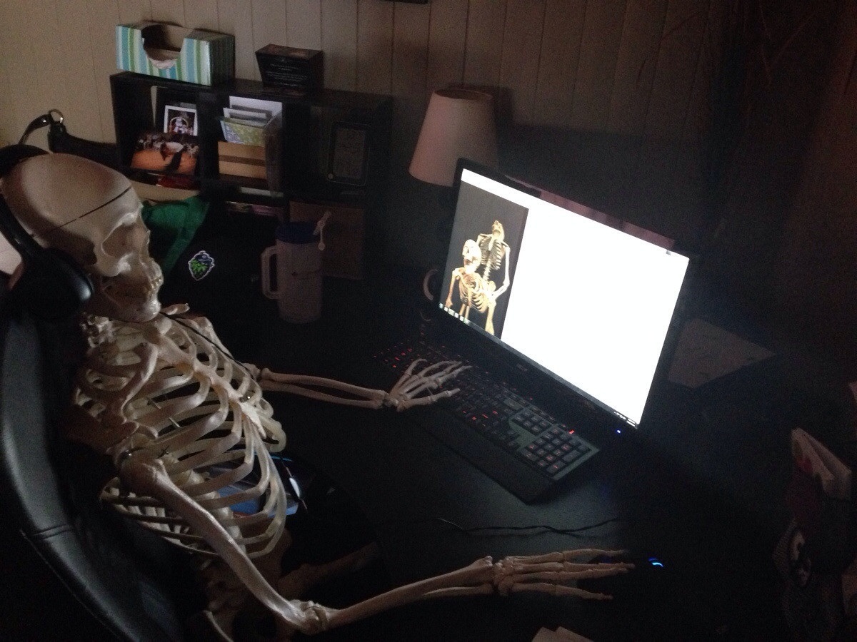 Skeleton at laptop in home office. 