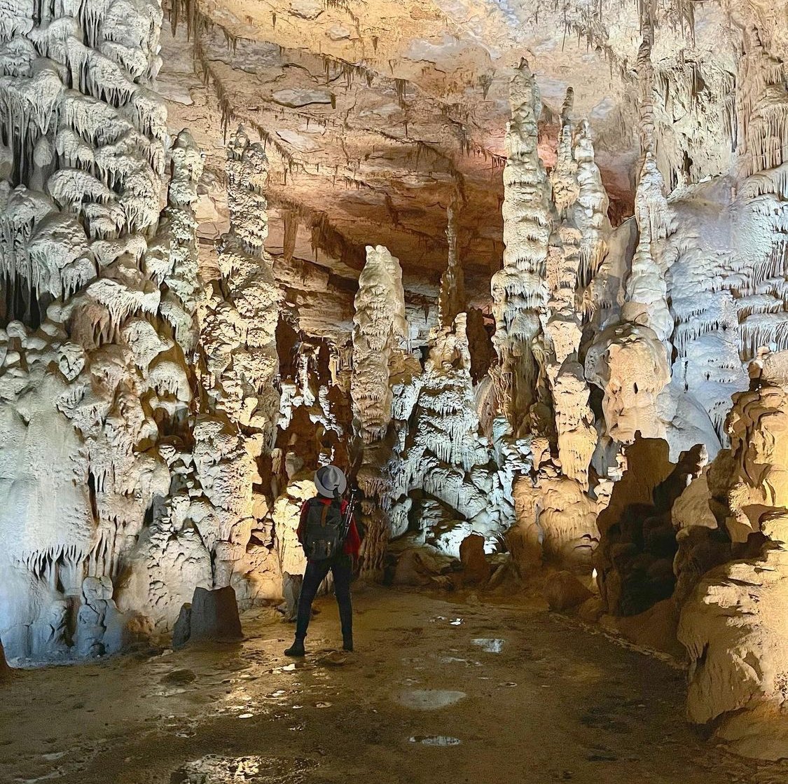 Want to know where it's a cool 60ish degrees in August in north Alabama? Cathedral Caverns State Park! It's the perfect place to explore and stay cool. 
#visitnorthal #cathedralcavernsstatepark 
📸: @the_wandering_wanderluster