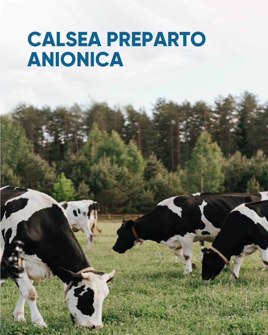 ¿Qué es?
Nuestro suplemento mineral para vacas lecheras en preparto previene problemas de hipocalcemia, al mismo tiempo que previene la retención placentaria y anestro post parto.

#ElAgroNoPara #TimacAgro