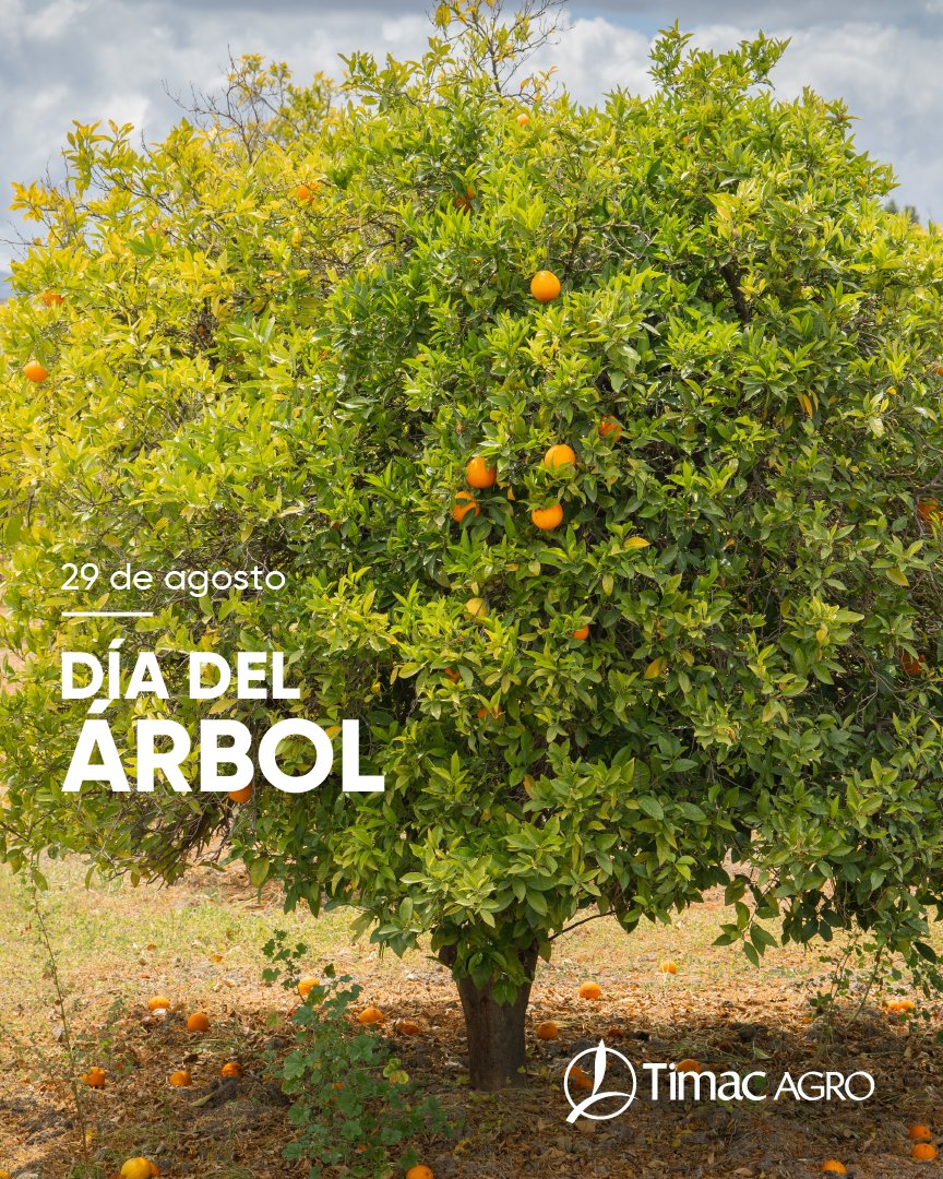 El día de hoy en nuestro país se celebra el Día del Árbol y desde Timac Argentina  
deseamos destacar la importancia del uso sustentable de nuestros recursos naturales y su protección.

#DiaDelArbol #ElAgroNoPara #TimacAgro