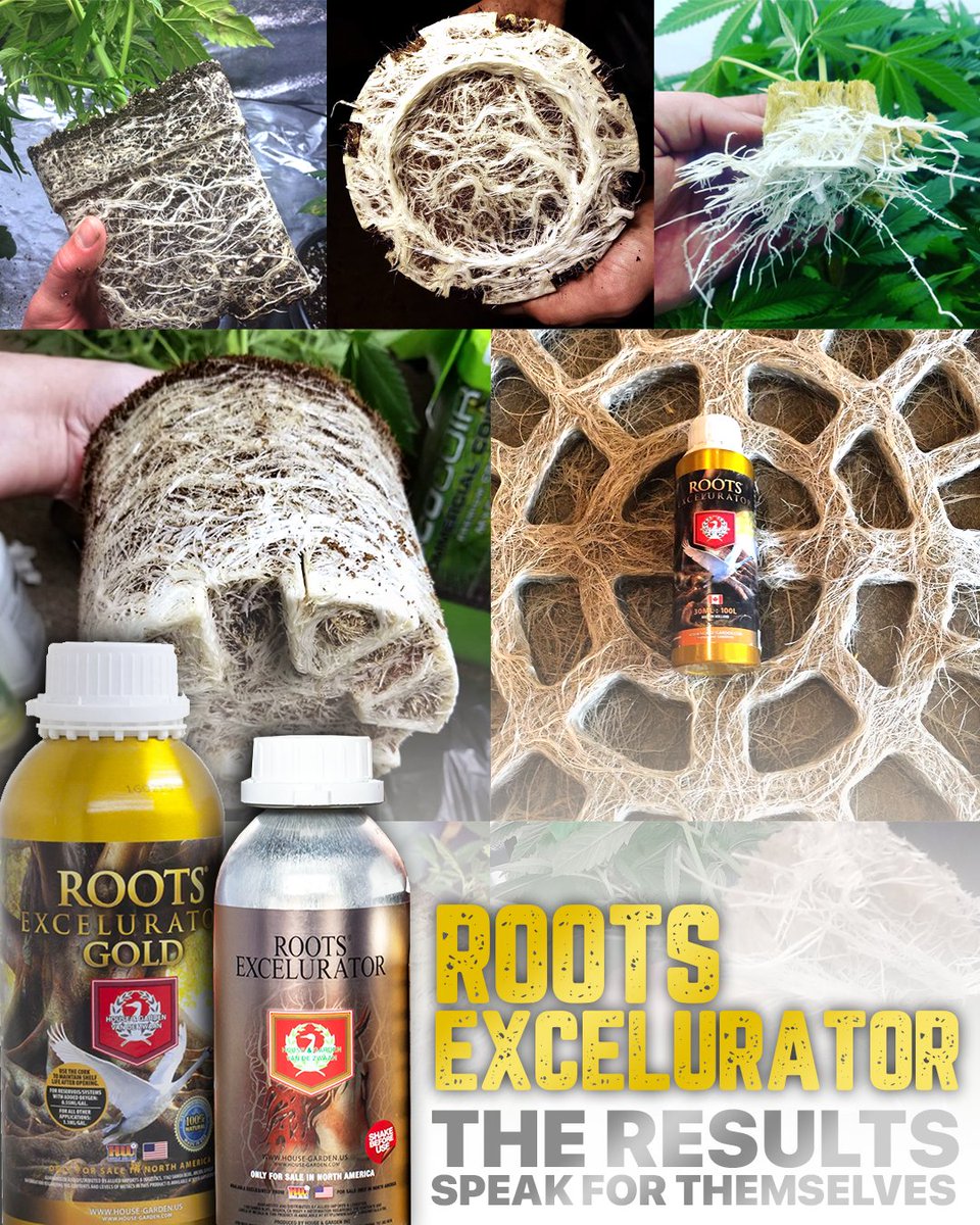 House & Garden Nutrients tweet media