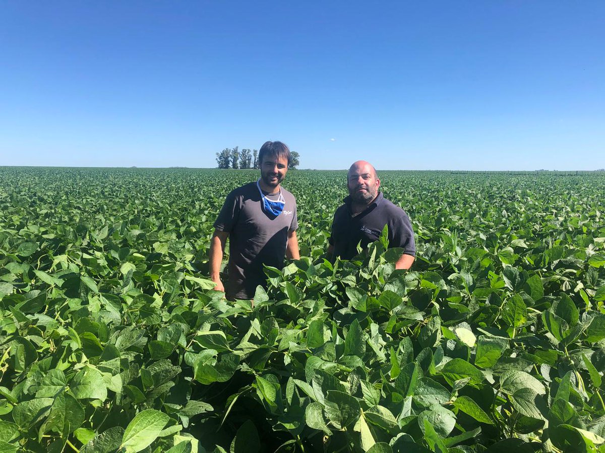 Recorremos el país comprobando los resultados de Timac Agro. 
Esta foto de un campo de soja fertilizada con Top Phos 280 fue tomada en La Pampa por uno de nuestros ATC.

Asesor Técnico Comercial: Conchez
Cultivo: Soja
Zona: Intendente Alvear, La Pampa.

#ElAgroNoPara #TimacAgro