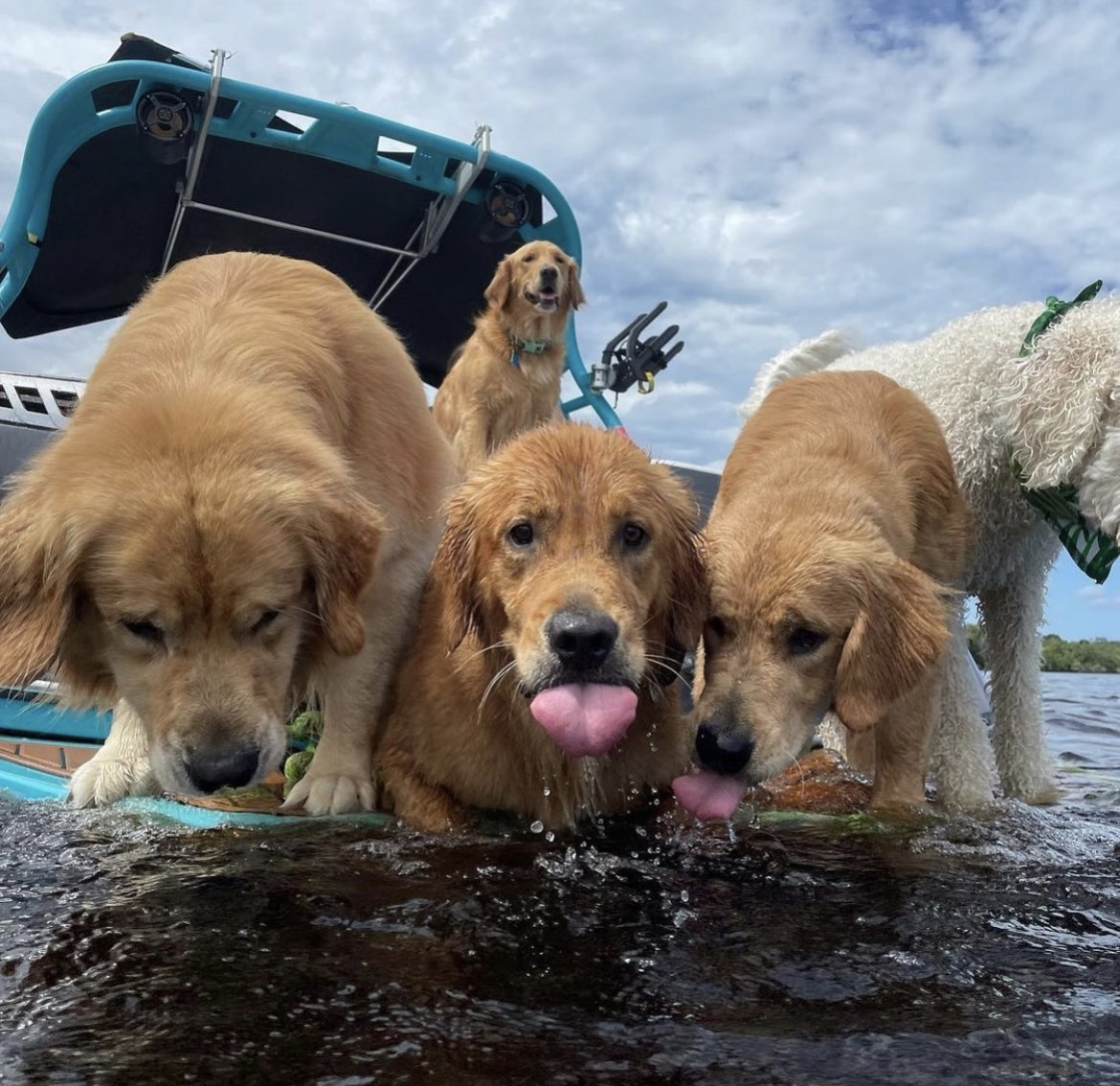 boathouseh2o's tweet photo. We believe our invite was lost in the mail! π Nautique Boats #thisisboating https://t.co/SLf4oWlPqY