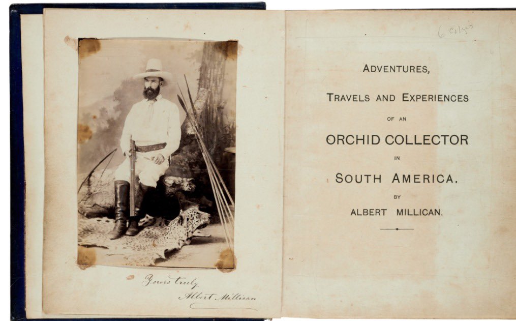 curibotta's tweet photo. Albert #Millican “Travels and Adventures of an #Orchid Hunter” original manuscript. Just sold in @Sothebys London.
This is an amazing #book and to know that its original manuscript still exists is amazing. If anybody knows where it is (private collection, library, university) https://t.co/FSL0lWpZRy