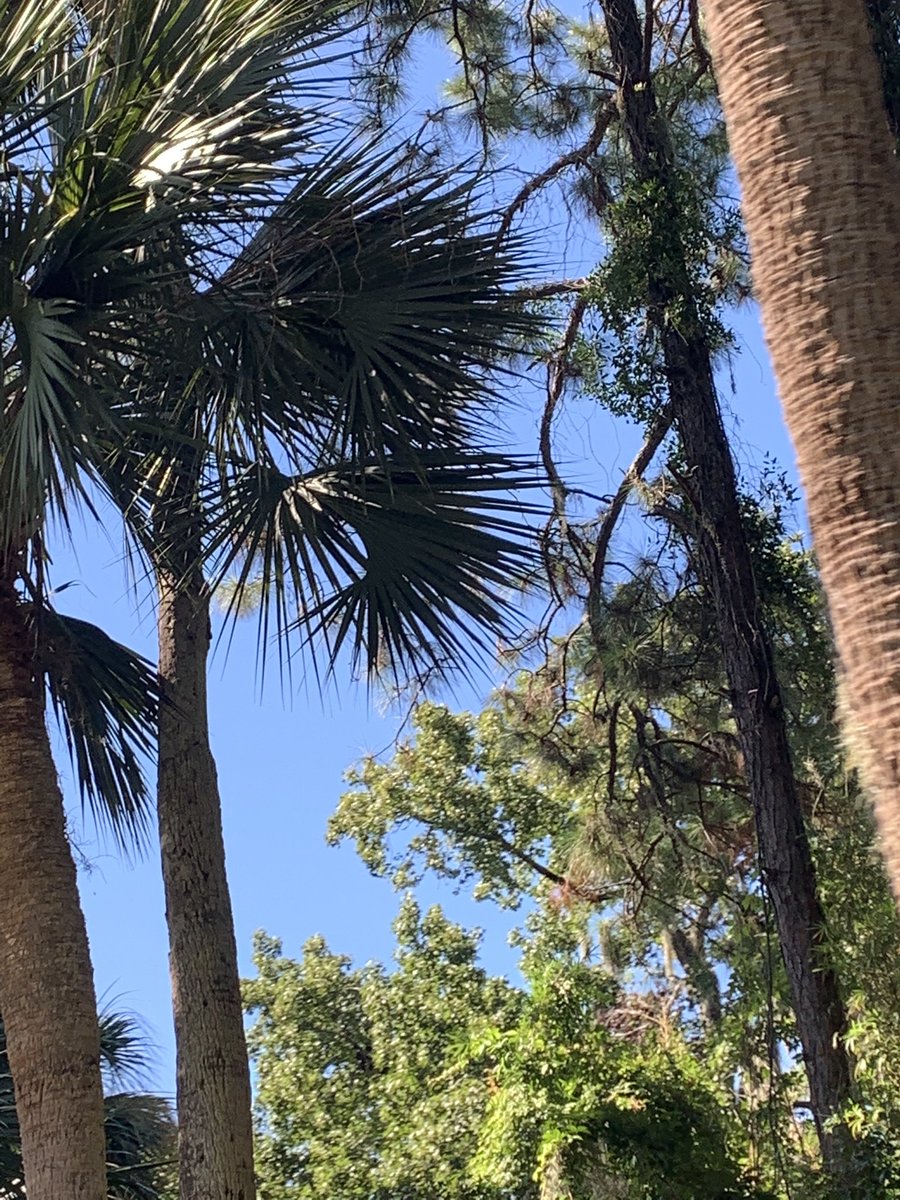 HeishmanAndrew's tweet photo. Gonna miss you Hilton head island! Hope to see you again soon ❤️ @hiltonheadsc #hiltonheadisland #hiltonhead #island #beach #southcarolina #sc #hhi #hh https://t.co/XZv4XqSzF2