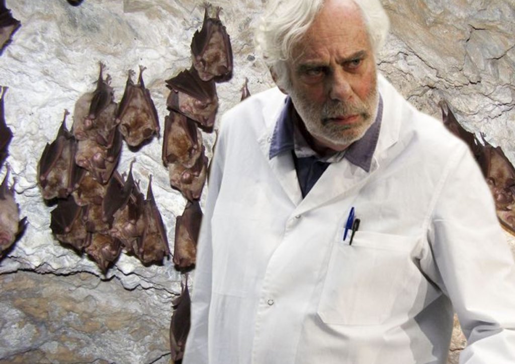 Out Of Context H tweet media