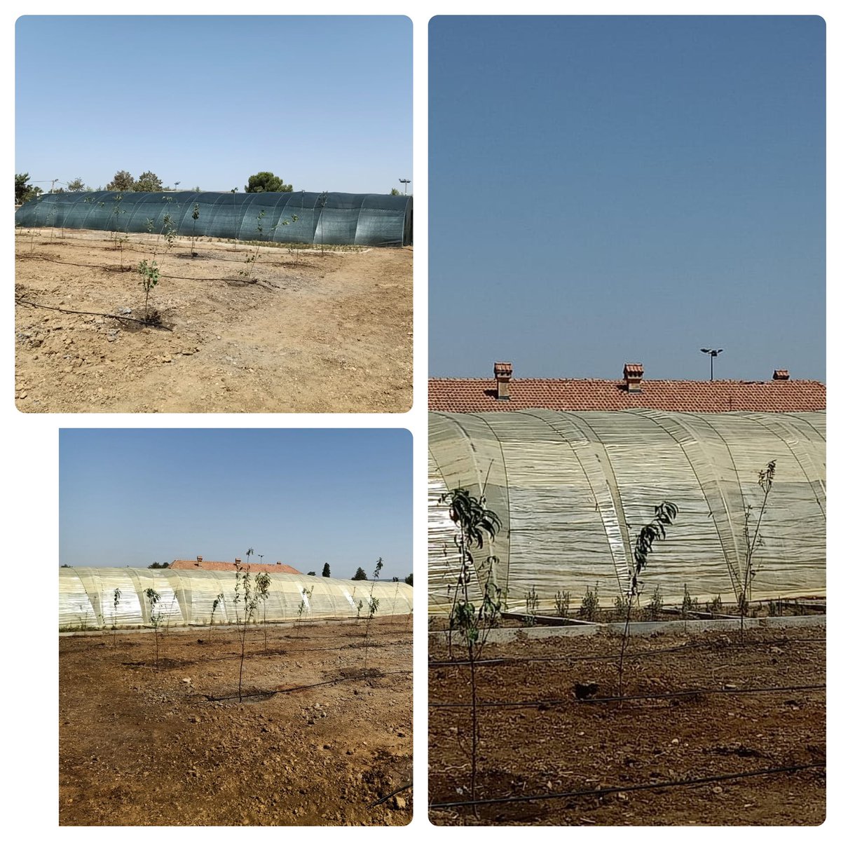 .
يسعدنا أن نشاركم صور تقدم الأشغال بالمزرعة البيداغوجية في إطارا شراكتنا مع <a href="/SABIC/">SABIC I سابك</a> 
فهاته المزرعة تتوفر بها دفيئات زراعية ونظام ري لإنتاج الفاكهة والخضروات
قريبا ان شاء الله سوف يتم إفتتاح مكتبة مجهزة بأجهزة الكمبيوتر عالية التقنية داخل ثانوية ابن رشد جماعة تيكريكرا  بإفران