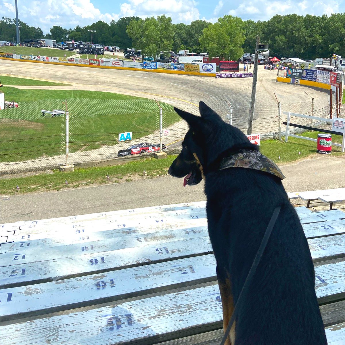 Erik Jones tweet media