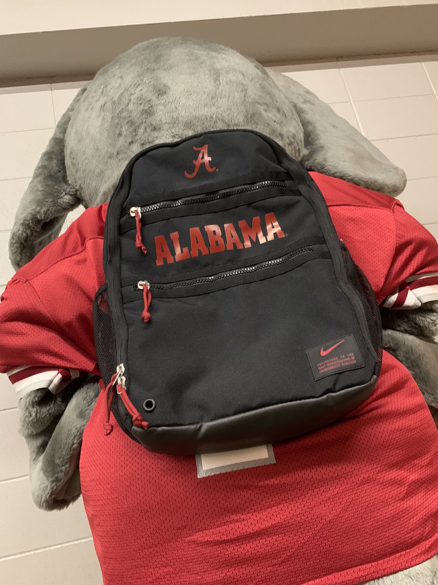 Big AL 🐘 tweet media