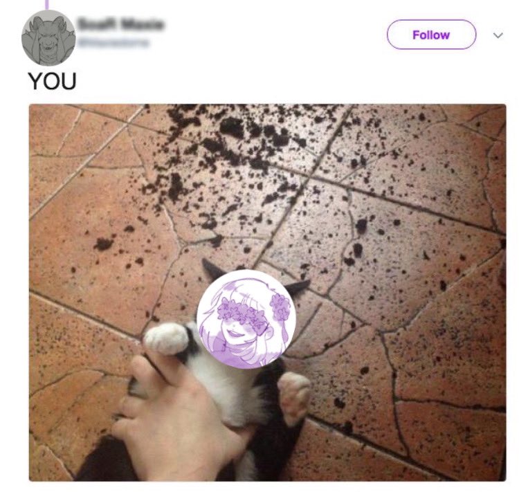 CallTheirName's tweet image. 