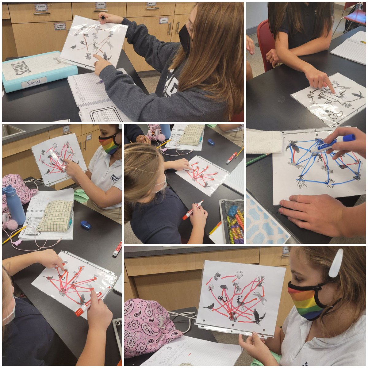LittleLeaders4's tweet photo. Discussing biotic and abiotic connections #RowTheBoatEWA #RockingQ1 #BuildingConcepts https://t.co/QX4nmYdgp0