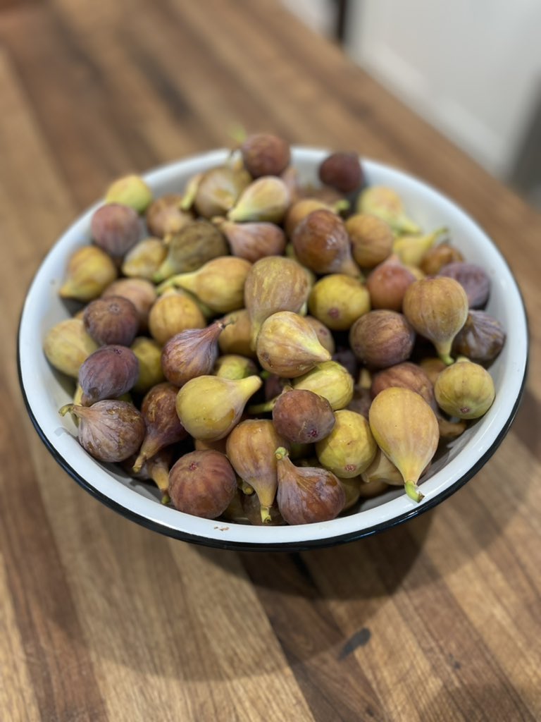 Lisa Page tweet media