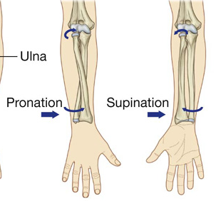 Rein Comms Open Kowanyanko Twitter