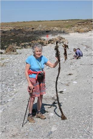 aari_tamilnadu's tweet photo. Scientist of the Week - British Phycologist Joanna M. Kain https://t.co/NrFEfxVNTS
#aarialgae #Algae #algalscientists #algology #biology #seaweed #British #Joanna #Phycologist #phycologists #phycology #phycologyfriday #Algologist #Laminaria #scientist #YPSI https://t.co/CqXQXTOHLm