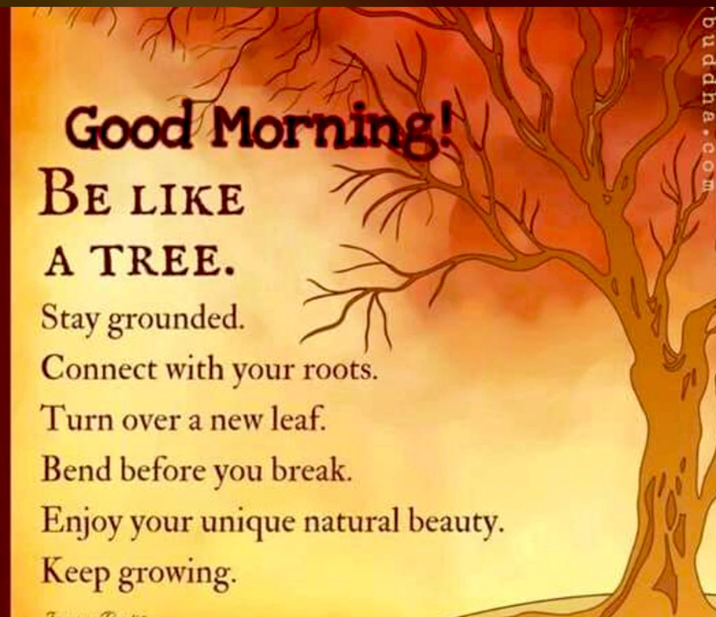 ARPITA ARYA on Twitter: