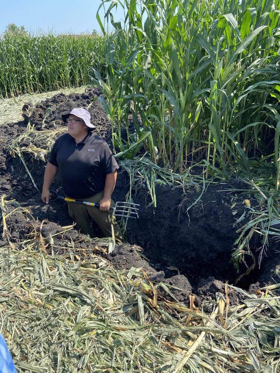 “<a href="/MitchMontgomery/">Mitch Montgomery</a> in a root pit” is the equivalent to “a kid in a candy store”
#soilcompaction
#MitchsSoapbox