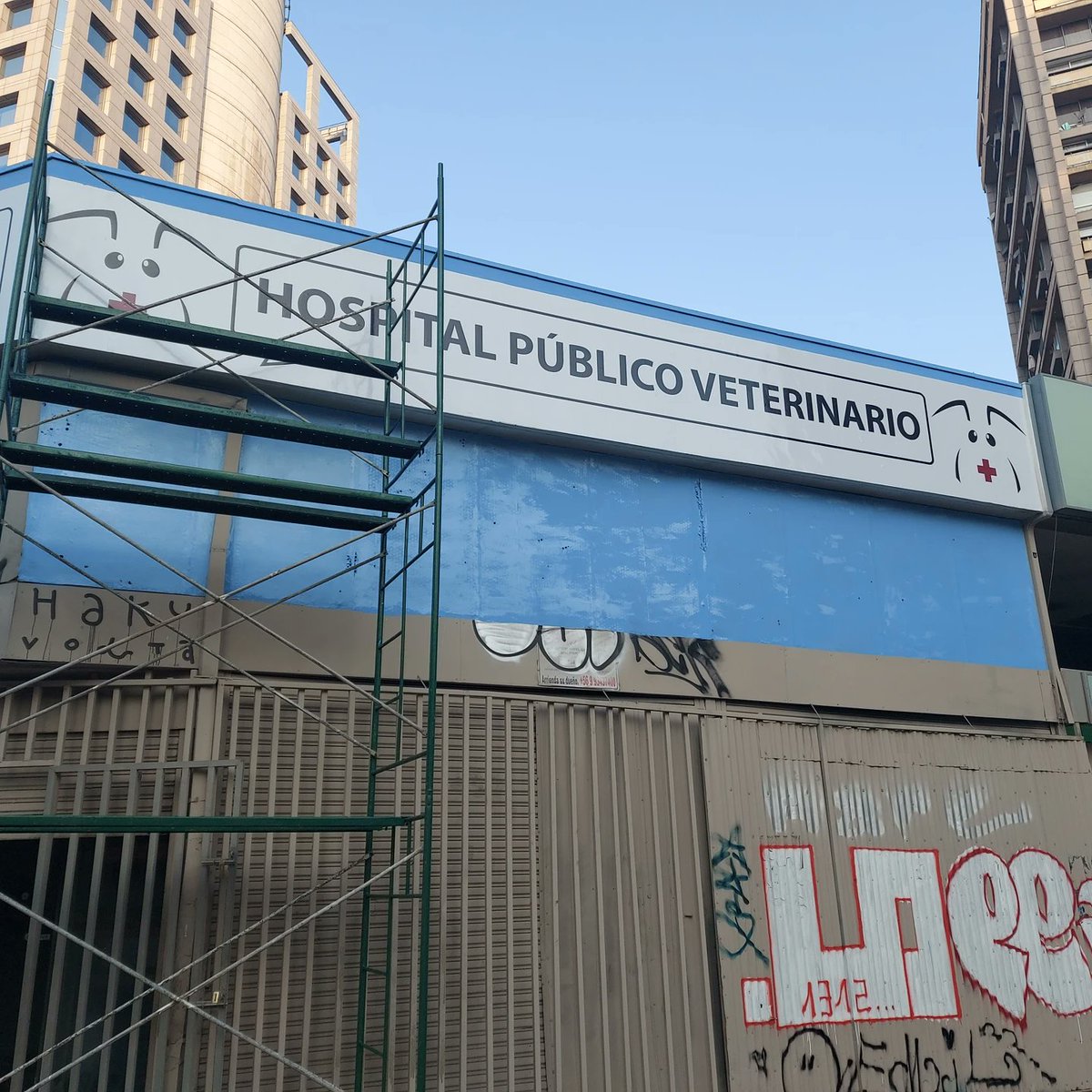 Que lindo es formar parte de esta aventura 💙