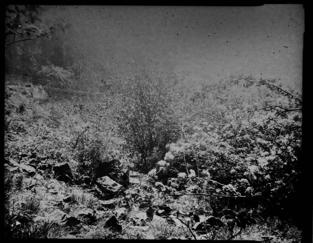 TobyVPhoto's tweet photo. I finally managed to commit another LF darkroom atrocity. Been weeks since I shot these. #BurkeAndJames #largeformat #papernegatives #darkroomatrocity #believeinfilm https://t.co/ZSLu2DdYlQ