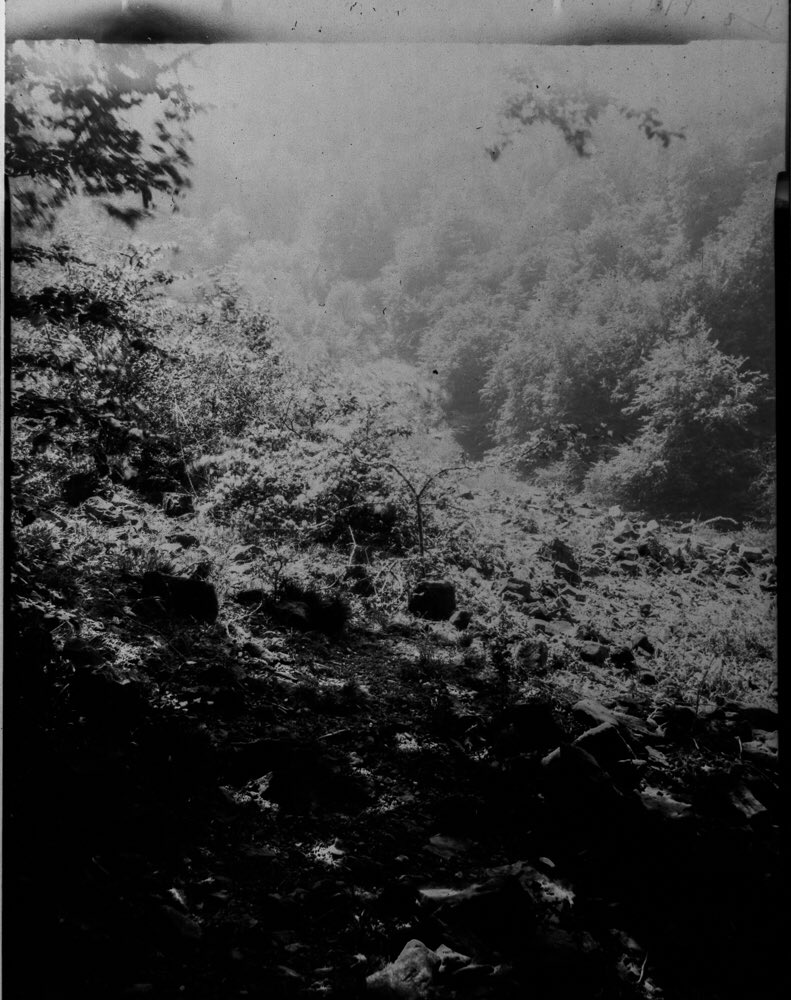 TobyVPhoto's tweet photo. I finally managed to commit another LF darkroom atrocity. Been weeks since I shot these. #BurkeAndJames #largeformat #papernegatives #darkroomatrocity #believeinfilm https://t.co/ZSLu2DdYlQ
