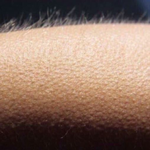 MyNamesKameron's tweet photo. Me when those players came through the corn #FieldOfDreamsGame https://t.co/mXgMqZAQeH