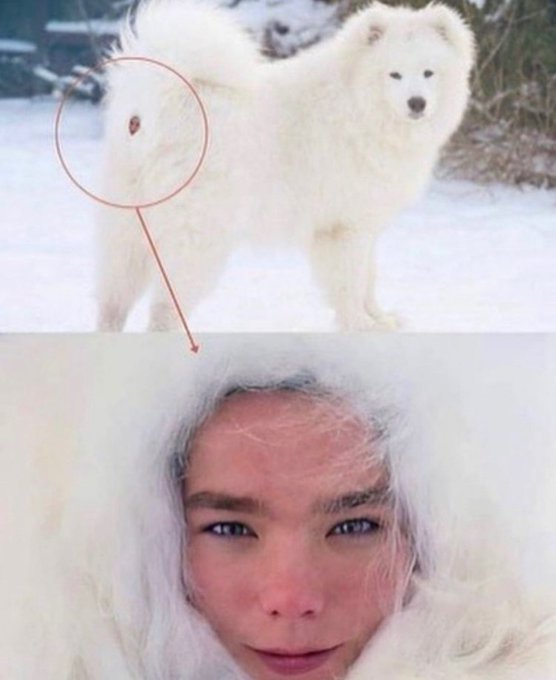 @PupDigger @iamtherealelio @Aidentylerxxx @RickPantera @MrMasonLear @BrianBondsXXX @AugustAlexxx @RCandDigger<a class="tags" target="_blank" title="On Twitter" href="/?out=eyJ0eXAiOiJKV1QiLCJhbGciOiJIUzUxMiJ9.eyJpYXQiOjE3MTk4NzA0MDQsImlzcyI6InR3cG9ybnN0YXJzLmNvbSIsIm5iZiI6MTcxOTg3MDQwNCwiZXhwIjoxNzUxNDA2NDA0LCJyZWRpcmVjdF91cmwiOiJodHRwczovL3R3aXR0ZXIuY29tL1B1cERpZ2dlciJ9.ZrP_E1J-7VMRiprOLgyv-NxgI_T9pQxarSfMzB0J0tK140_yNhA1pu_O9H058q5bwWi-ysSLQ5Yt4zLSj79DQw">@PupDigger</a><a class="tags" target="_blank" title="On Twitter" href="/?out=eyJ0eXAiOiJKV1QiLCJhbGciOiJIUzUxMiJ9.eyJpYXQiOjE3MTk4NzA0MDQsImlzcyI6InR3cG9ybnN0YXJzLmNvbSIsIm5iZiI6MTcxOTg3MDQwNCwiZXhwIjoxNzUxNDA2NDA0LCJyZWRpcmVjdF91cmwiOiJodHRwczovL3R3aXR0ZXIuY29tL2lhbXRoZXJlYWxlbGlvIn0.v5Vx8Sg5l6uqbhka27SMRWdnJ0KbqG22W6pTJI3n5al44cPZ7Q55rUZx8E5dzuSNSDDBBZiGMK7qR31XdSqJYQ">@iamtherealelio</a><a class="tags" href="/tag/aidentylerxxx">@aidentylerxxx</a><a class="tags" target="_blank" title="On Twitter" href="/?out=eyJ0eXAiOiJKV1QiLCJhbGciOiJIUzUxMiJ9.eyJpYXQiOjE3MTk4NzA0MDQsImlzcyI6InR3cG9ybnN0YXJzLmNvbSIsIm5iZiI6MTcxOTg3MDQwNCwiZXhwIjoxNzUxNDA2NDA0LCJyZWRpcmVjdF91cmwiOiJodHRwczovL3R3aXR0ZXIuY29tL1JpY2tQYW50ZXJhIn0.sZXGC7I-MXpYCopDhLnHx5_gOLupqUzG_R7qa_dgRqwhJXun7LhT6tzf2k7mxiycEGZdx0-5vqa--vhpd1s05w">@RickPantera</a>