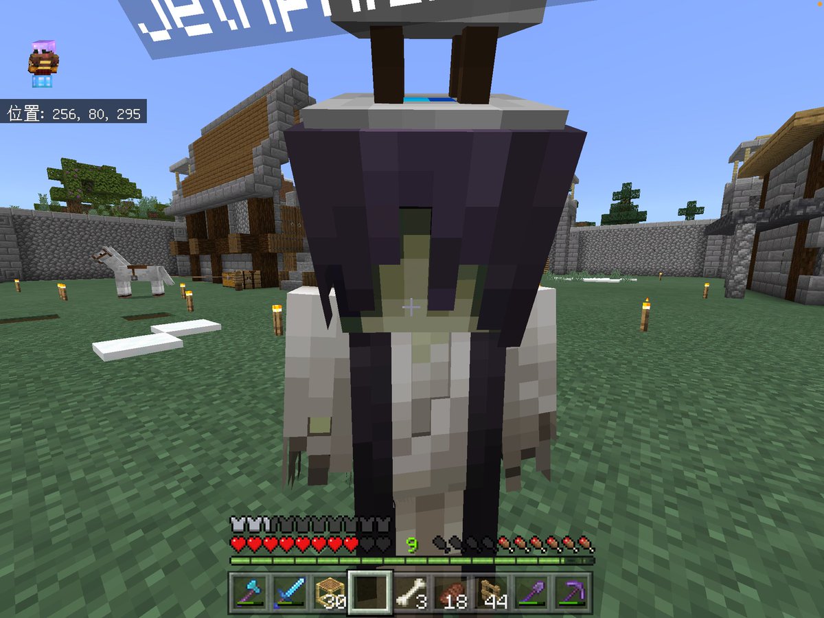 ルルダクトん みなさんおはようございます 昨日のミラティブにて 久々チヌさん登場 モッチ ママのなおちゃんニワトリに餌やり W へんちゃさんユウーレースキン怖い W マイクラ マインクラフト ミラティブ ルル勢