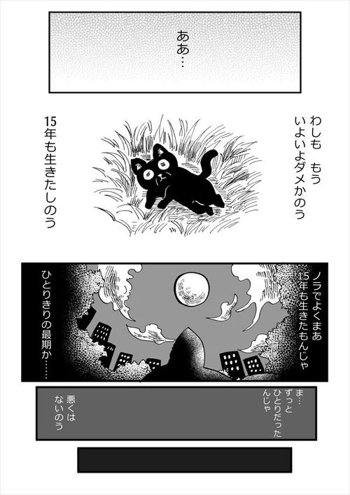 【漫画】死を覚悟した老猫が優しい飼い主と出会って…… "ひとりぼっち"同士だった1人と1匹の絆があたたかくて涙がこぼれる https://t.co/xBLTswT9nF @itm_nlabより 