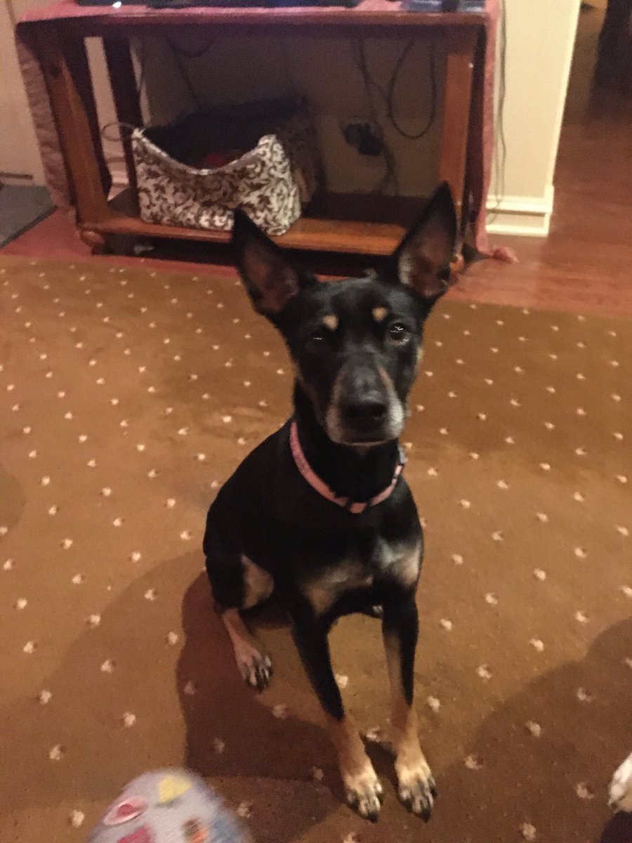 Michael Buss tweet media